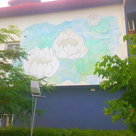 Noufara * Néa Meságkala