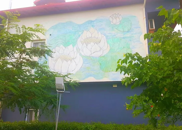 Noufara * Néa Meságkala